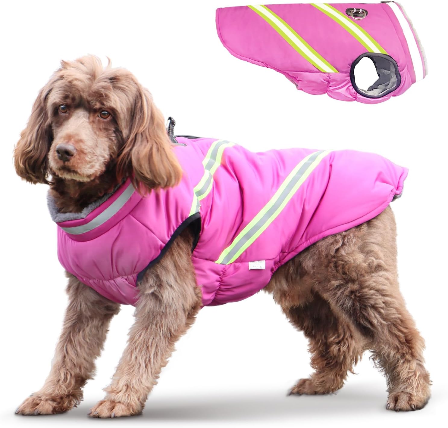 dog jackets for large dogs