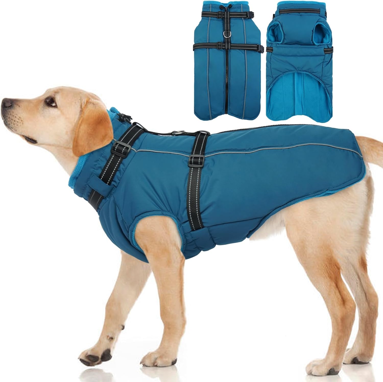 dog jackets for large dogs