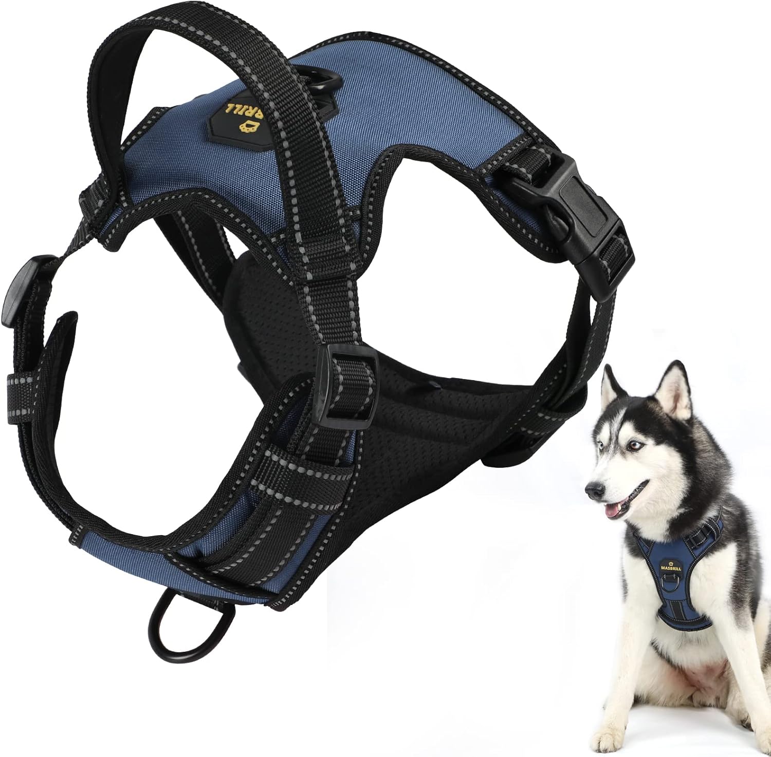 dog harness and leash