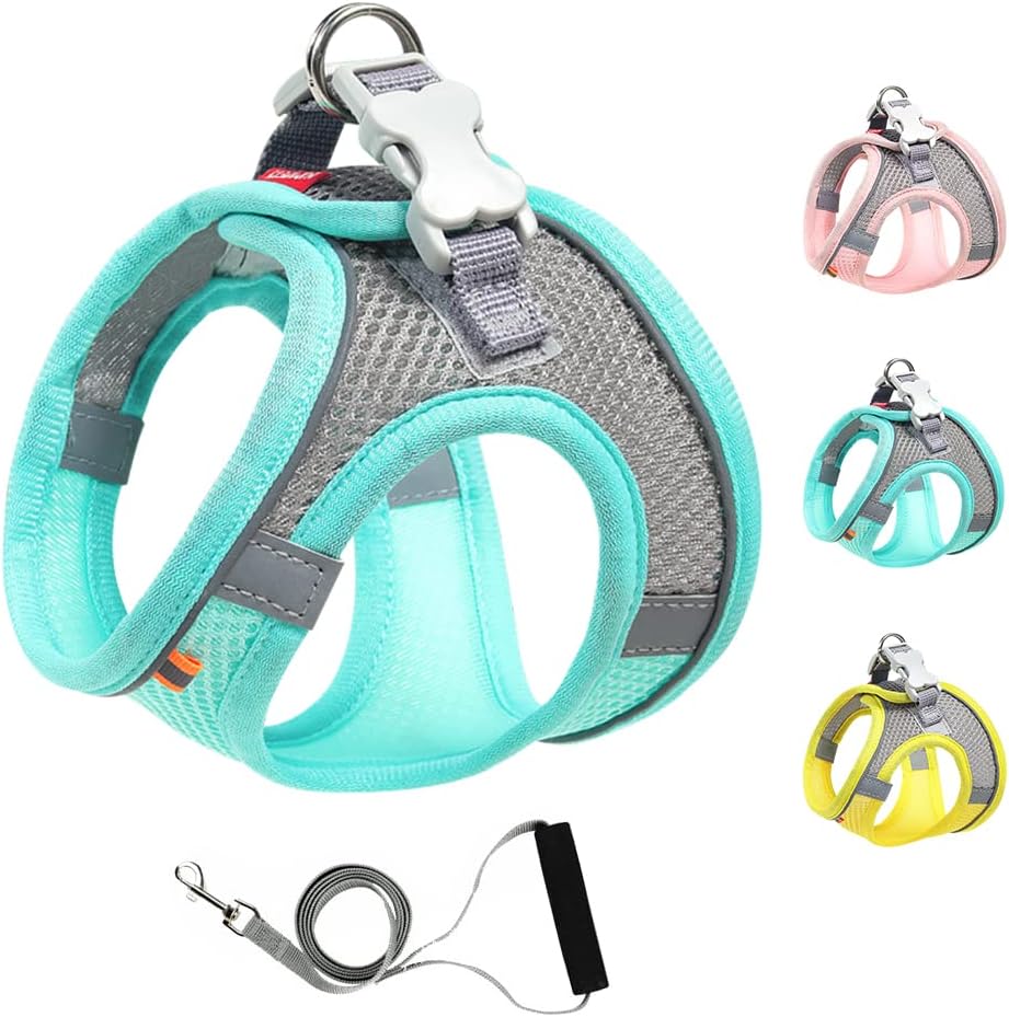 dog harness and leash