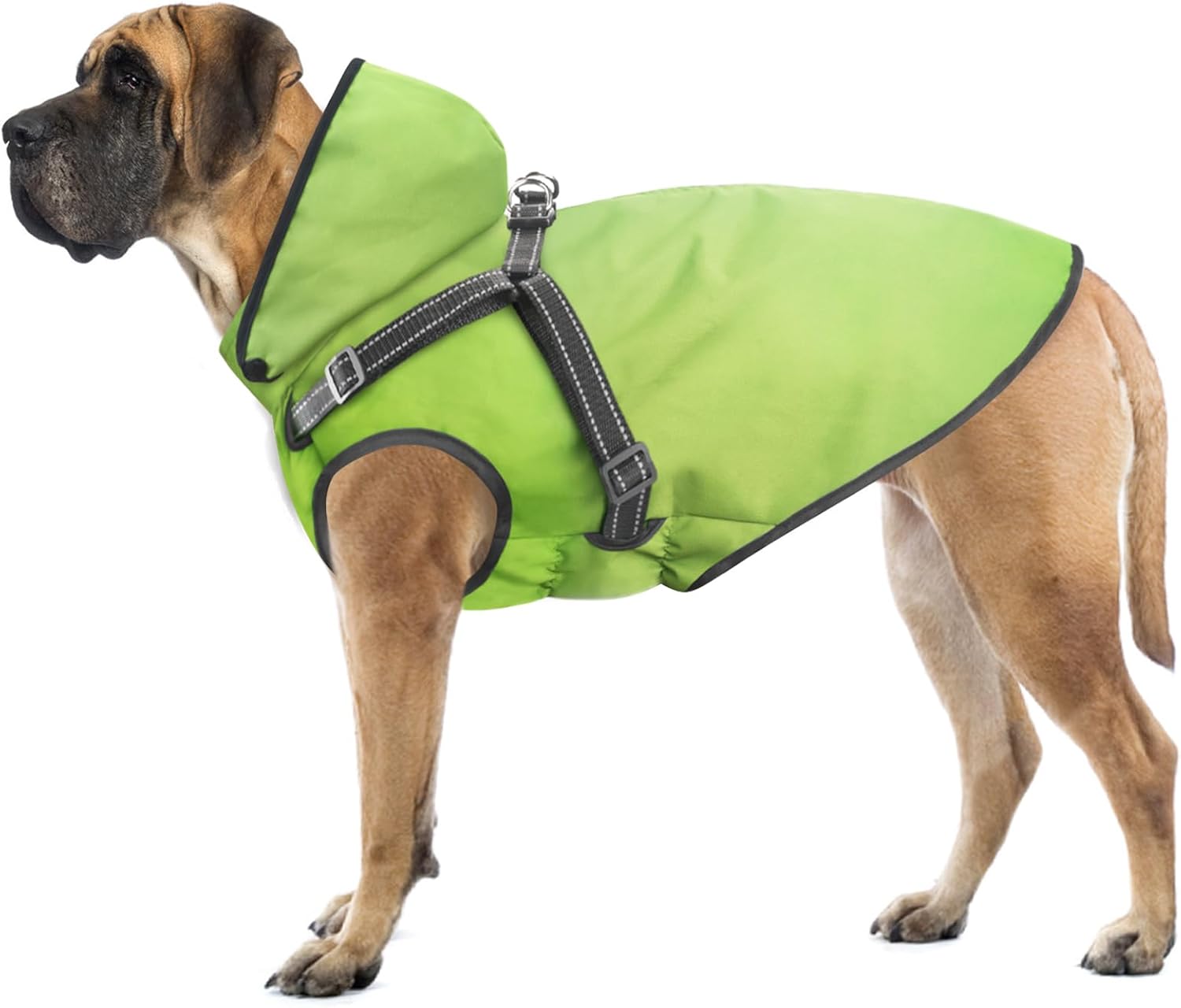 dog jackets for large dogs