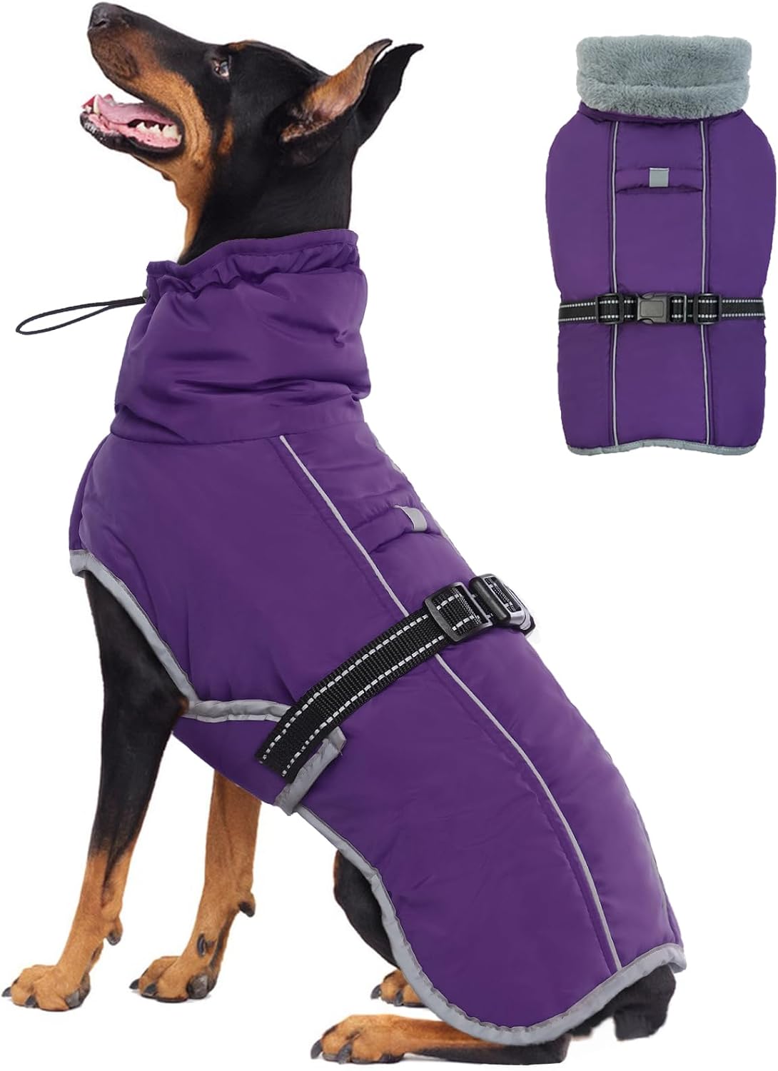 dog jackets for large dogs