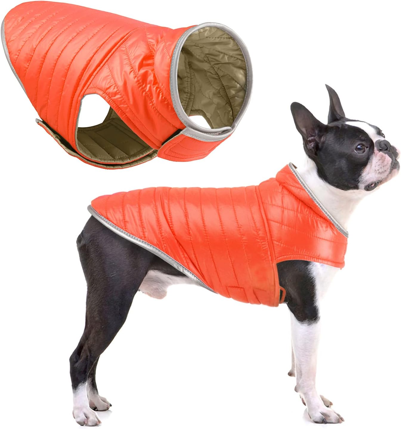 dog jackets for large dogs