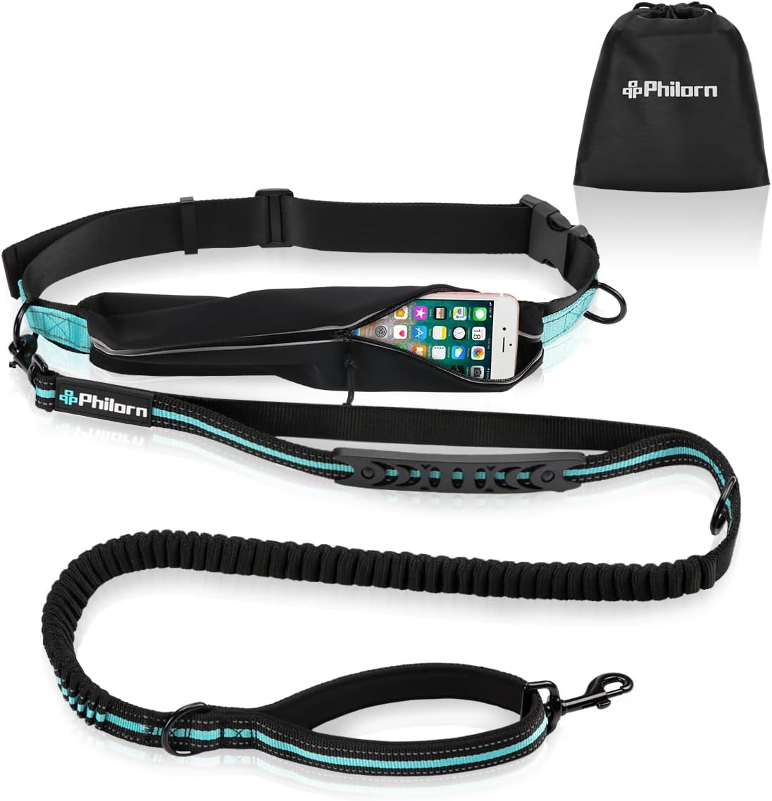 dog harness and leash