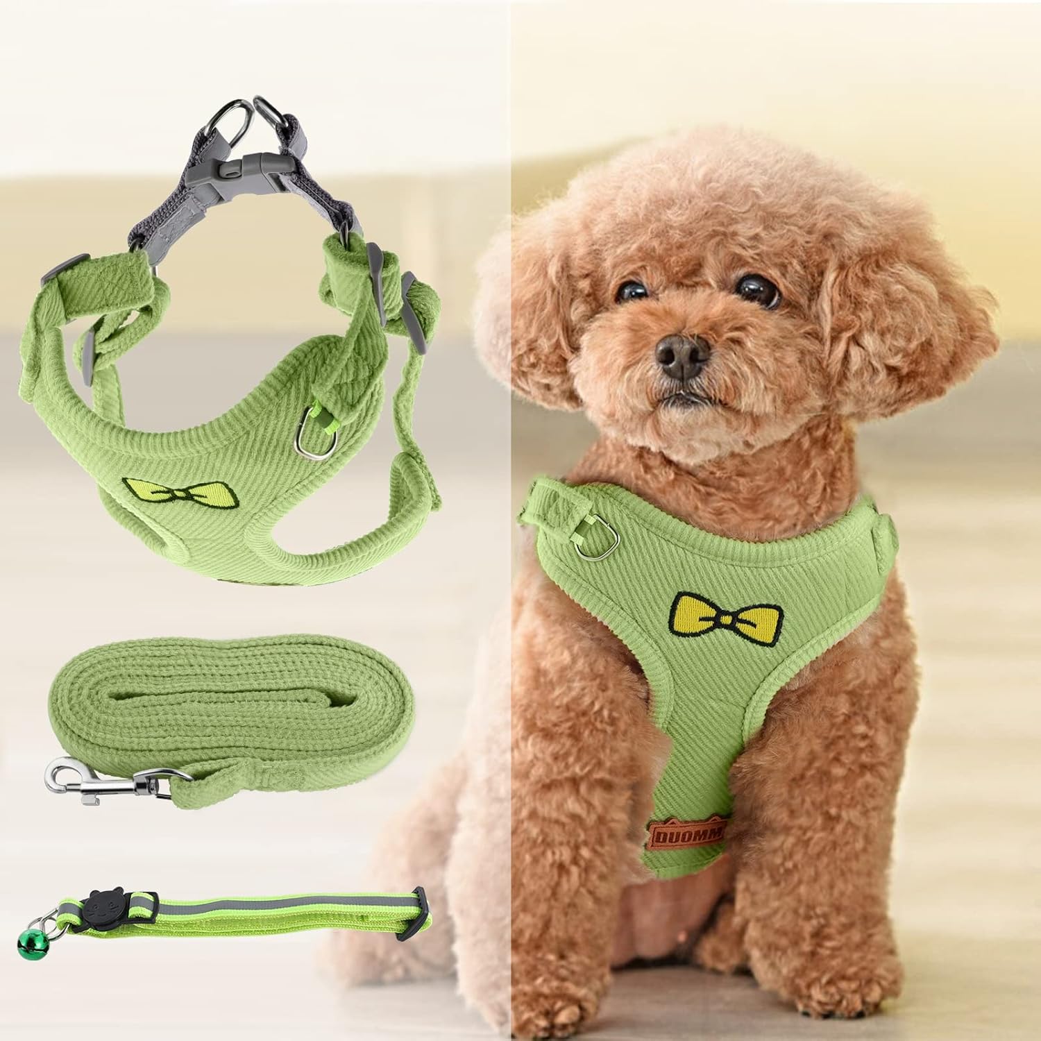 dog harness and leash