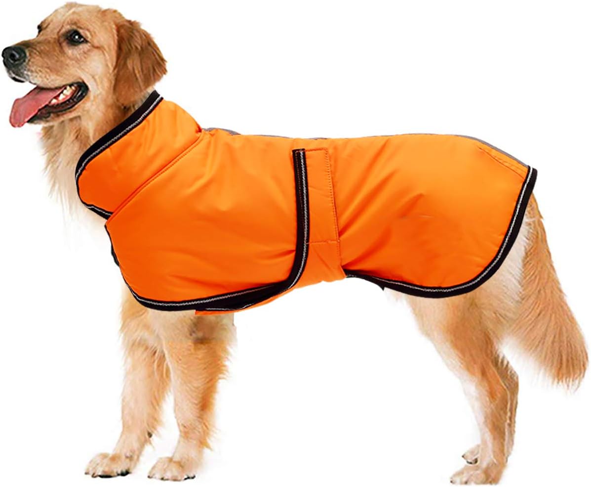 dog jackets for large dogs