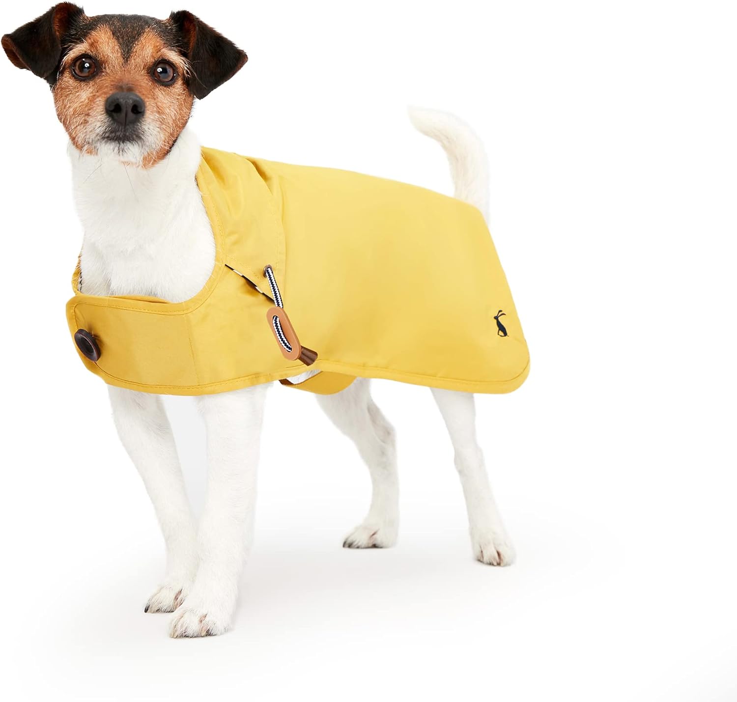 dog jackets for large dogs