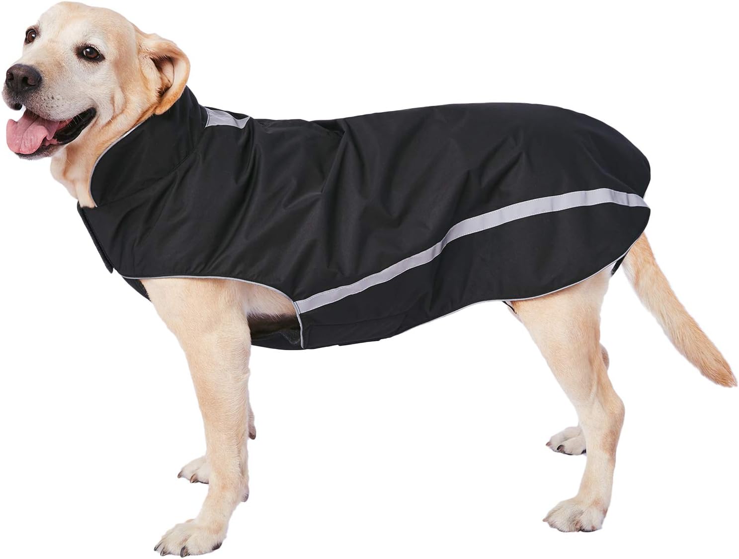 dog jackets for large dogs