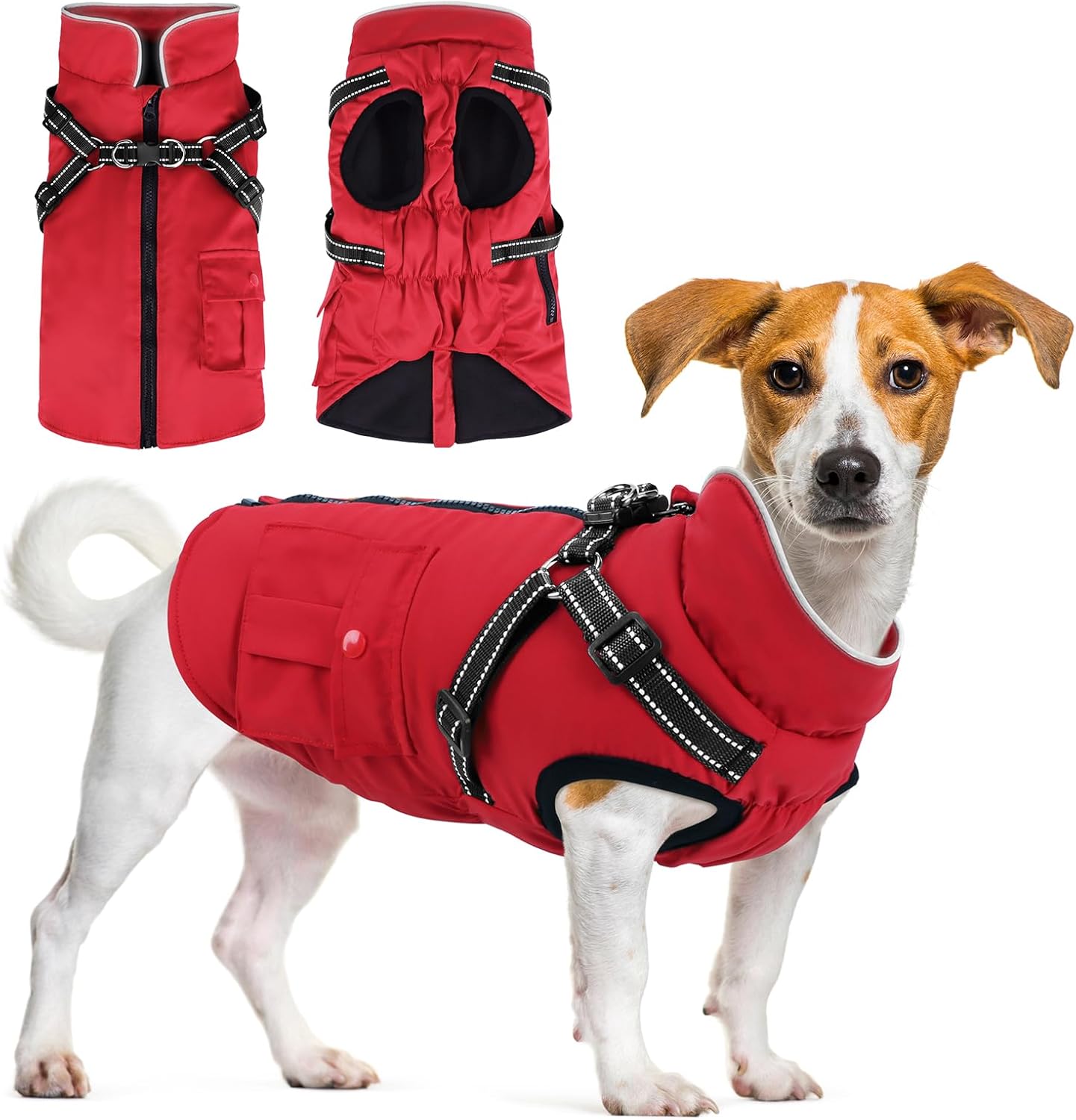 dog jackets for large dogs