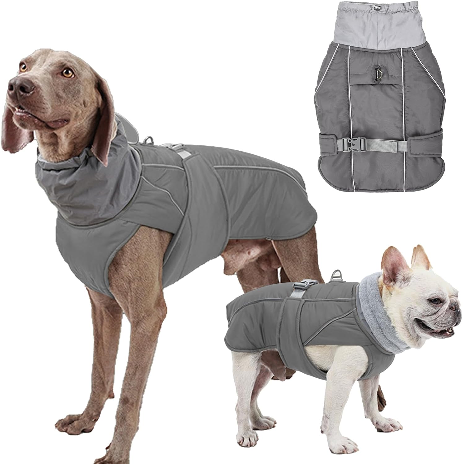 dog jackets for large dogs