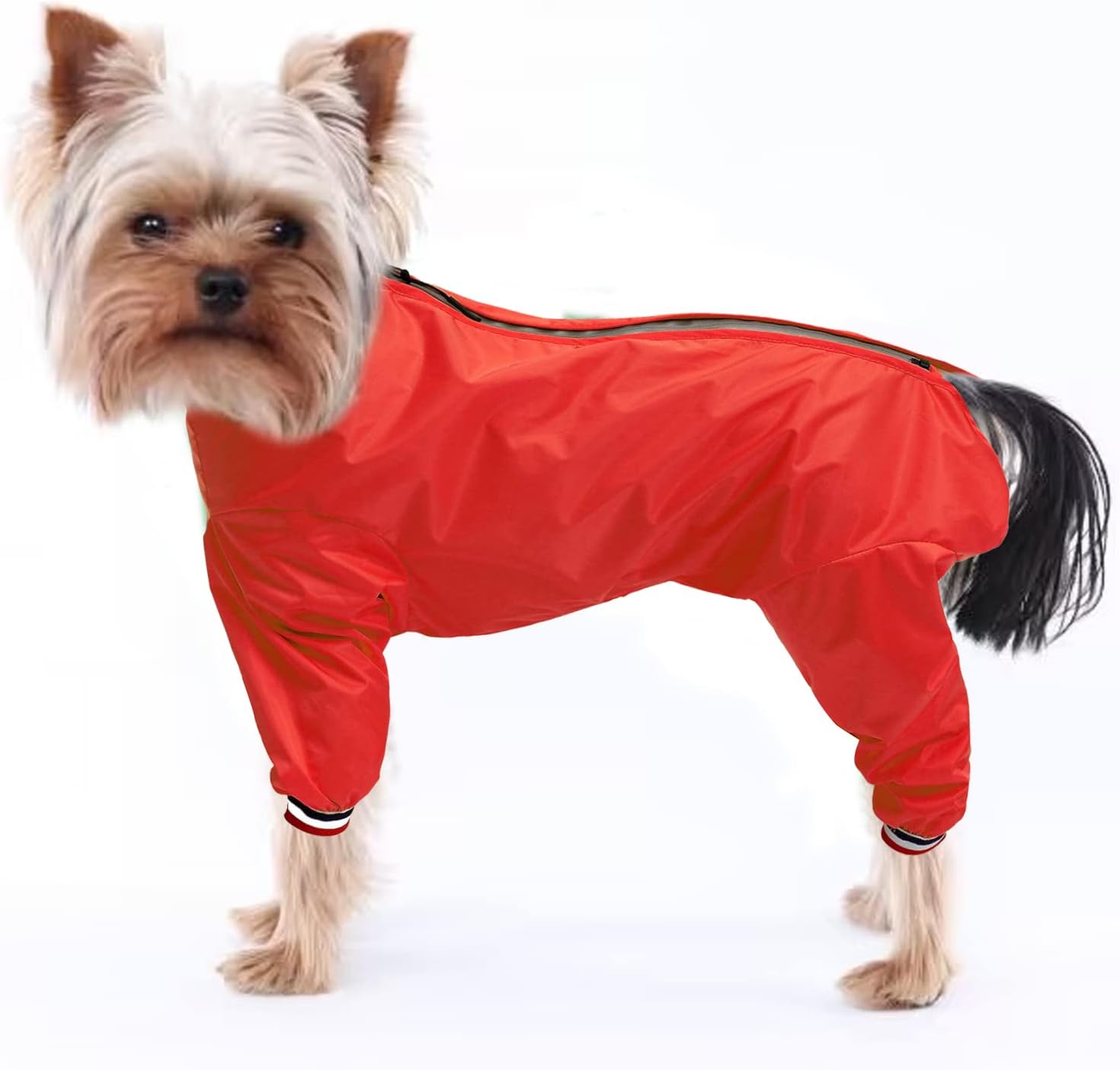 dog jackets for large dogs