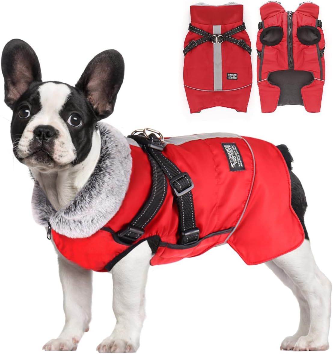 dog jackets for large dogs