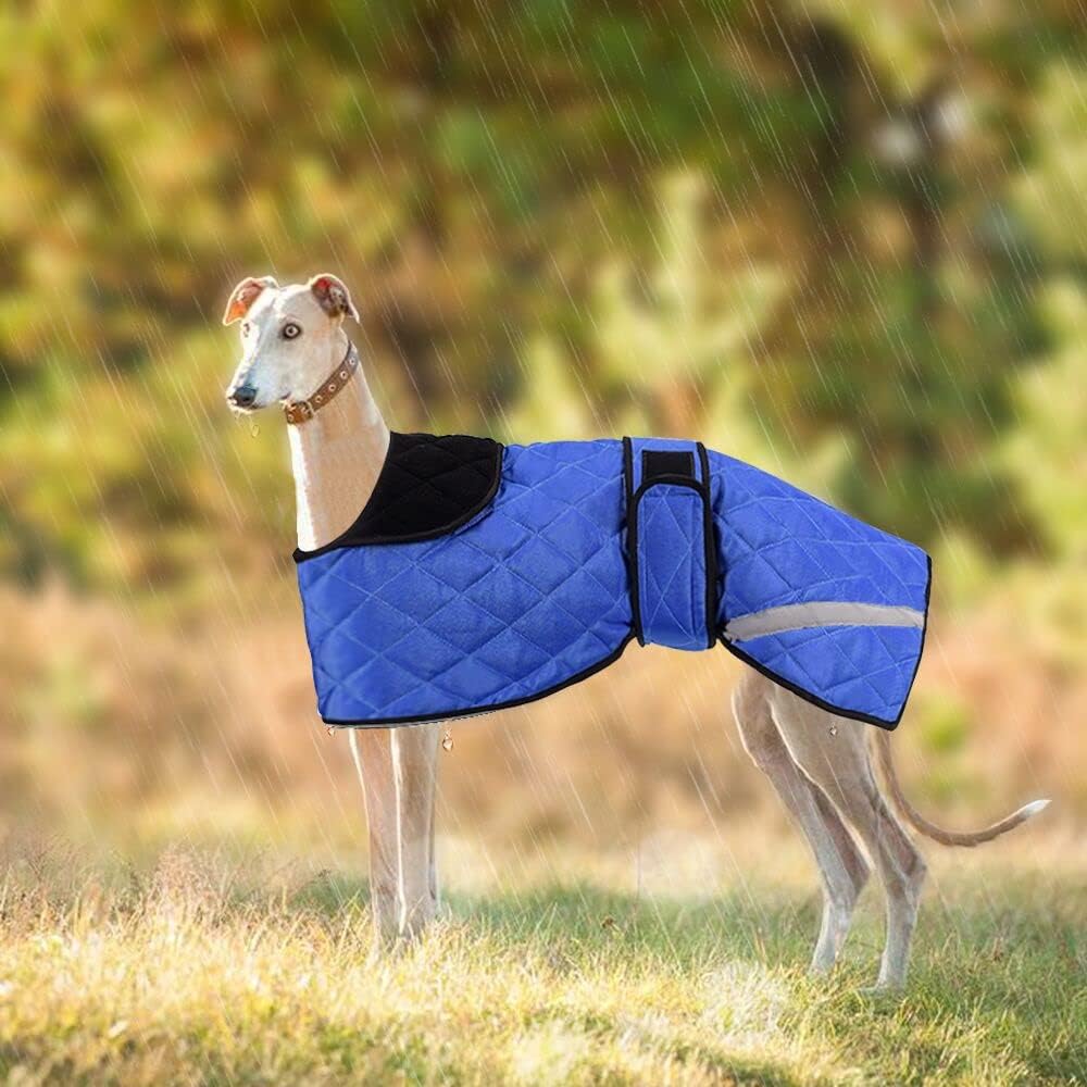 dog jackets for large dogs