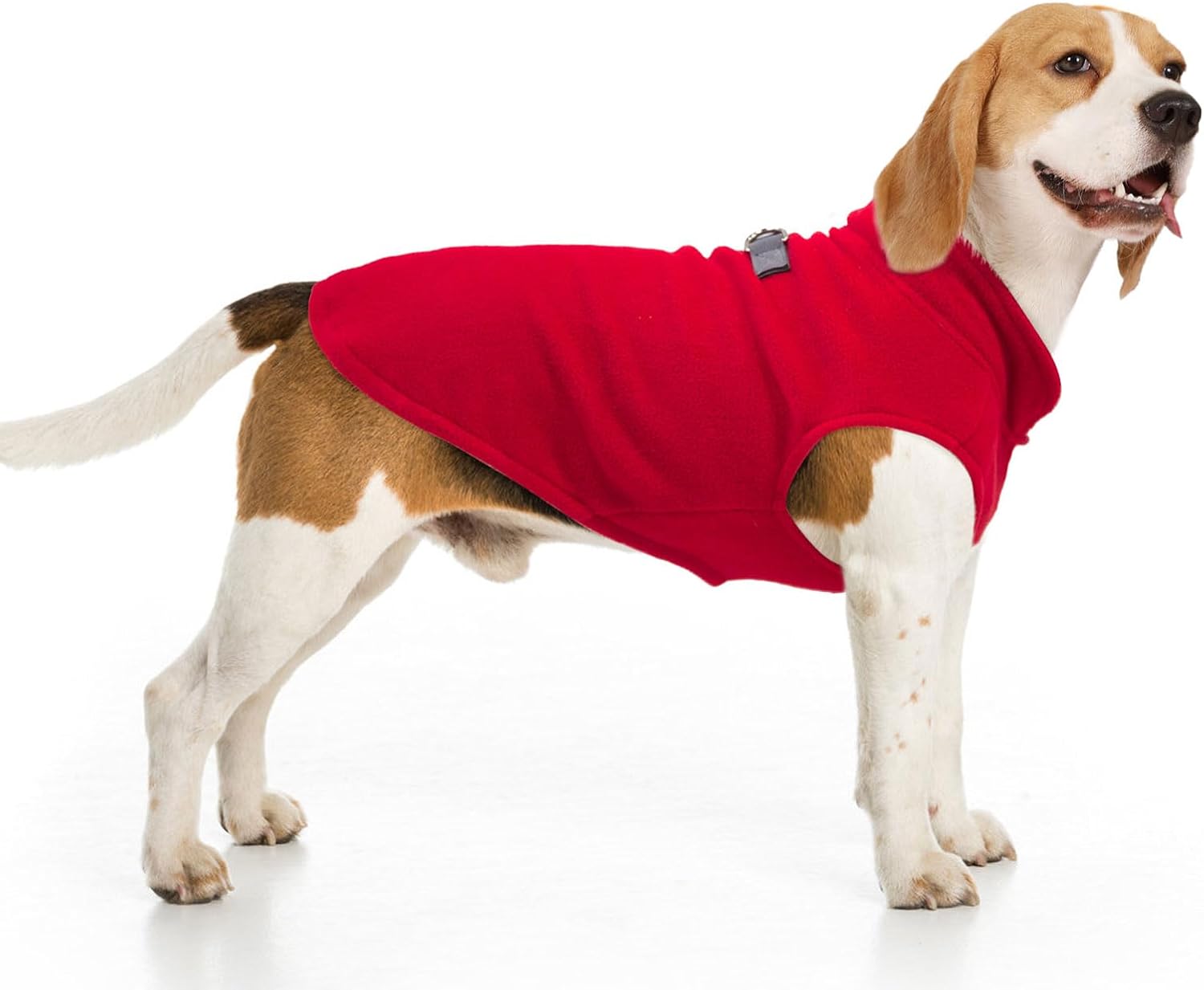 dog jackets for large dogs