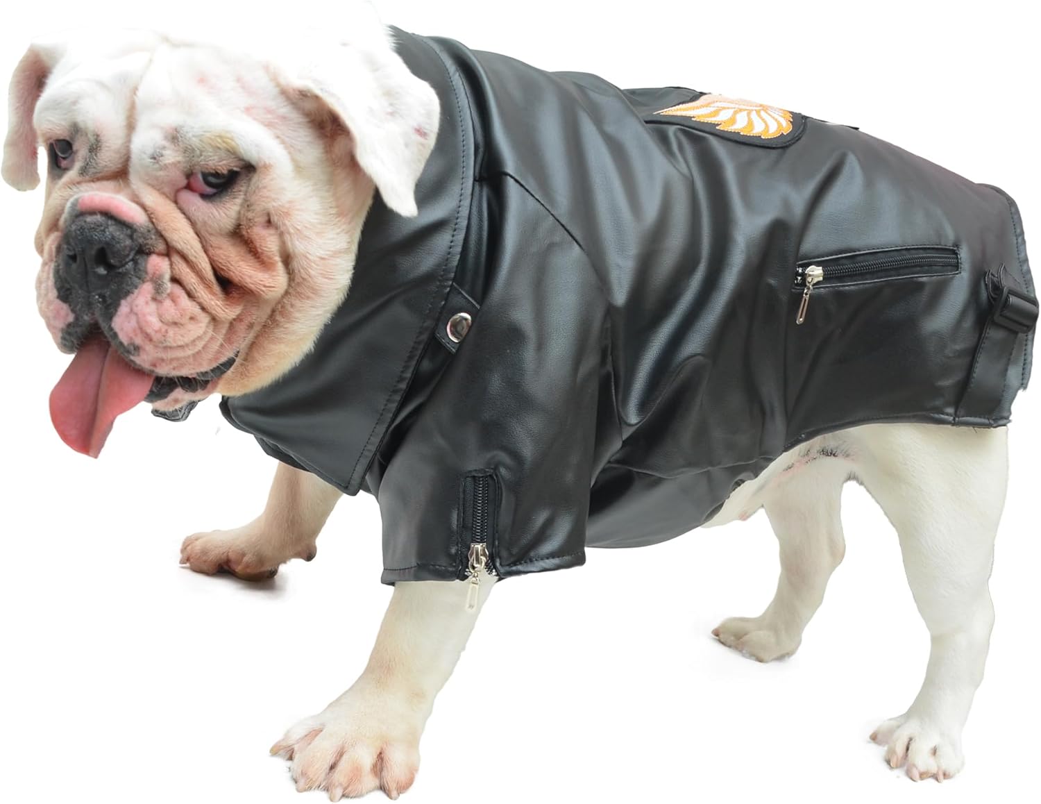 dog jackets for large dogs