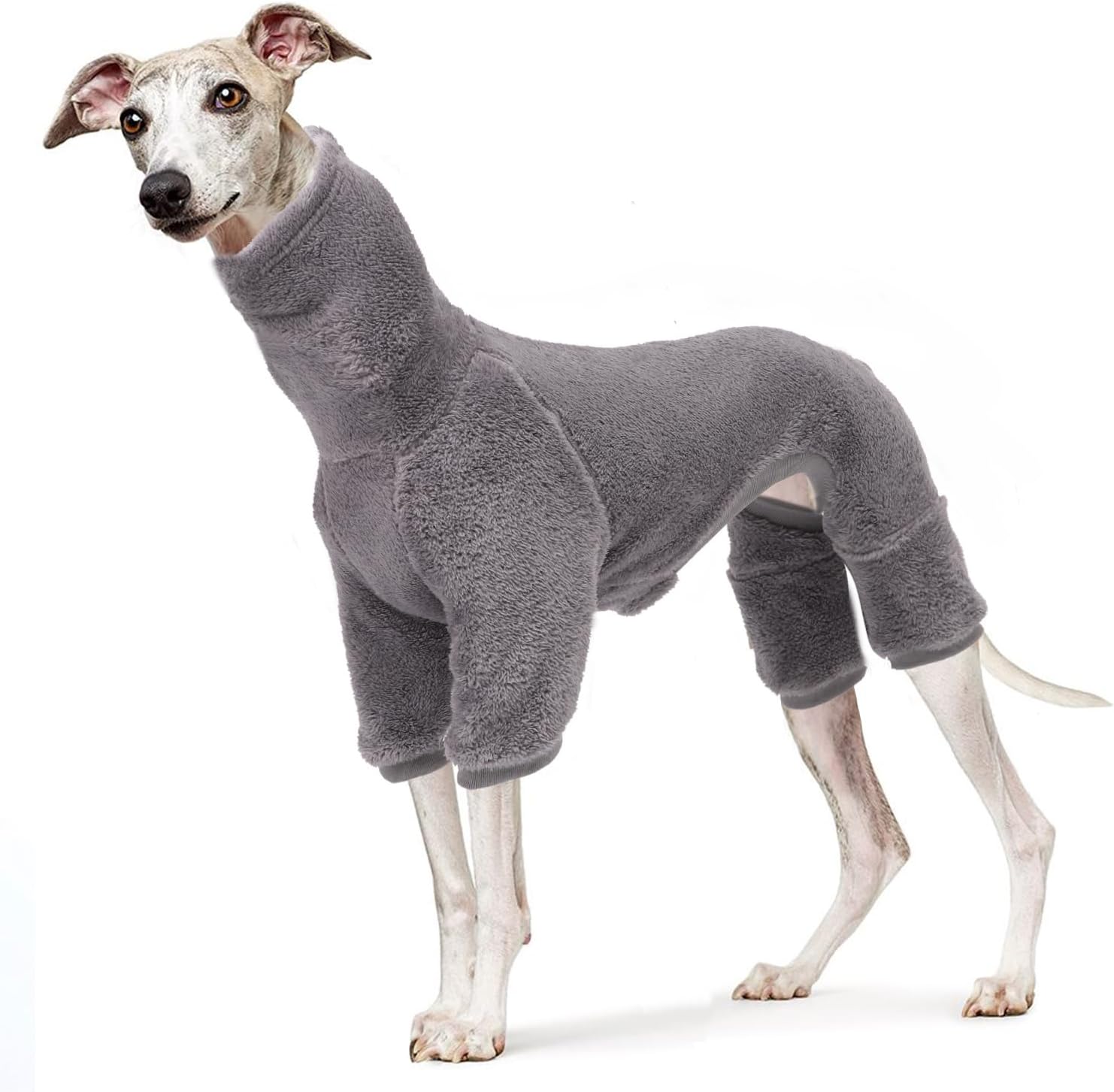 dog jackets with legs