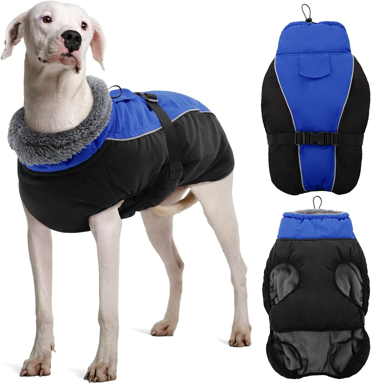 dog jackets with legs