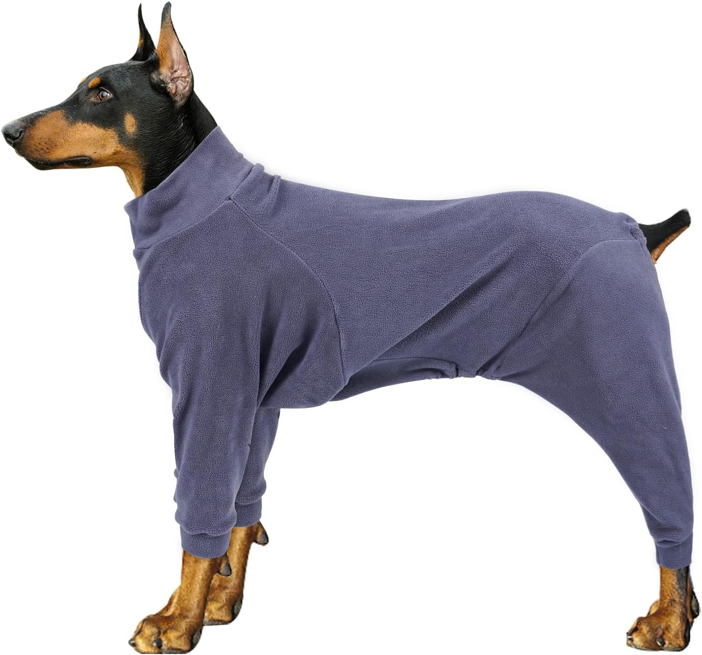 dog jackets with legs