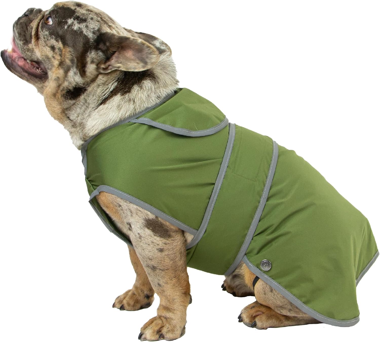 dog jackets with legs