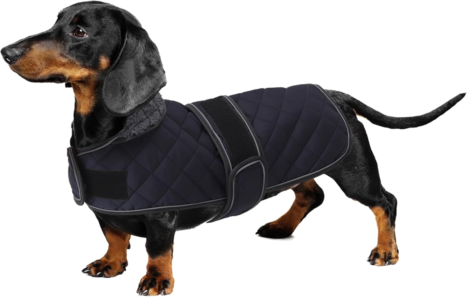 dog jackets with legs