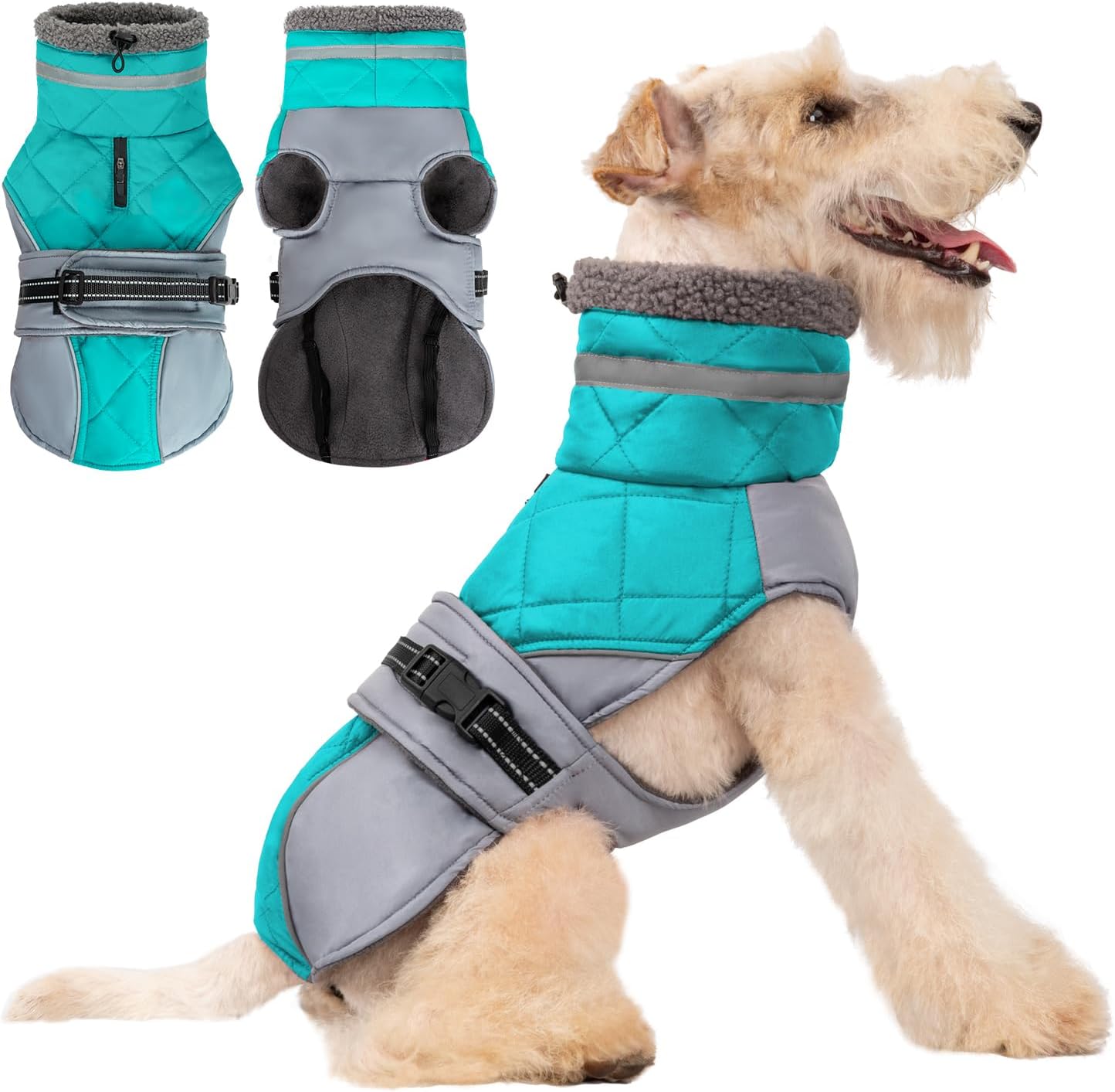 dog jackets for large dogs