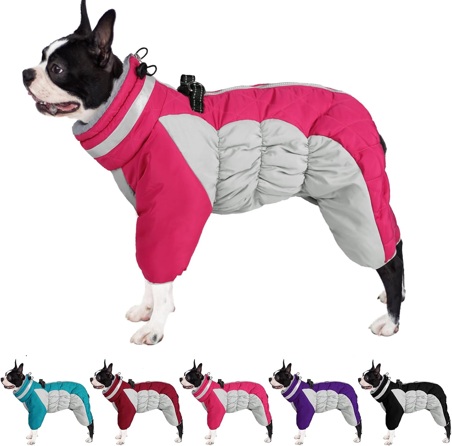 dog jackets with legs