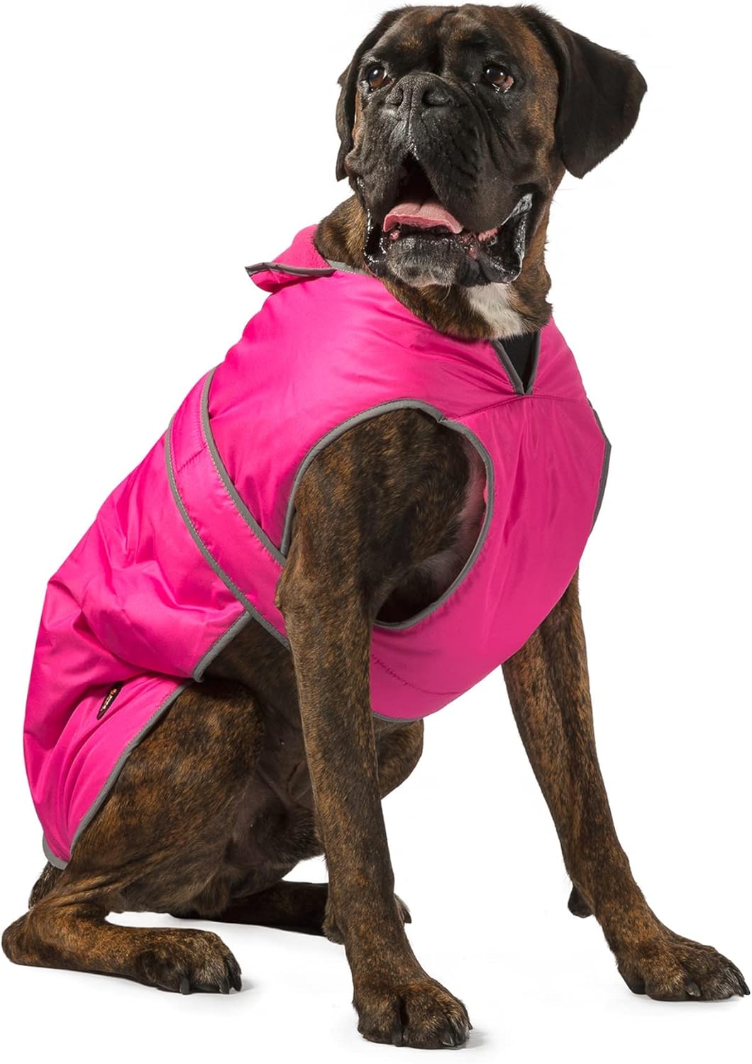 dog jackets with legs