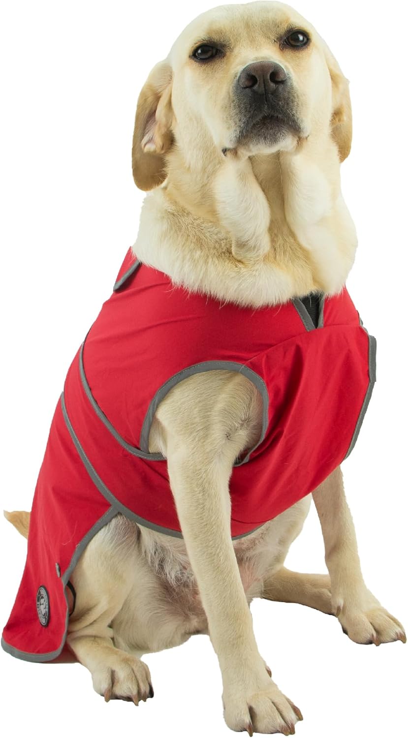 dog jackets with legs