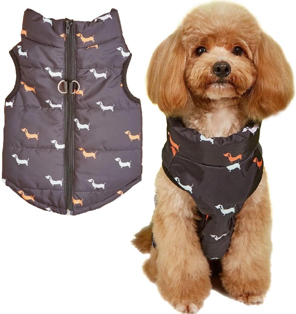 dog jackets for large dogs