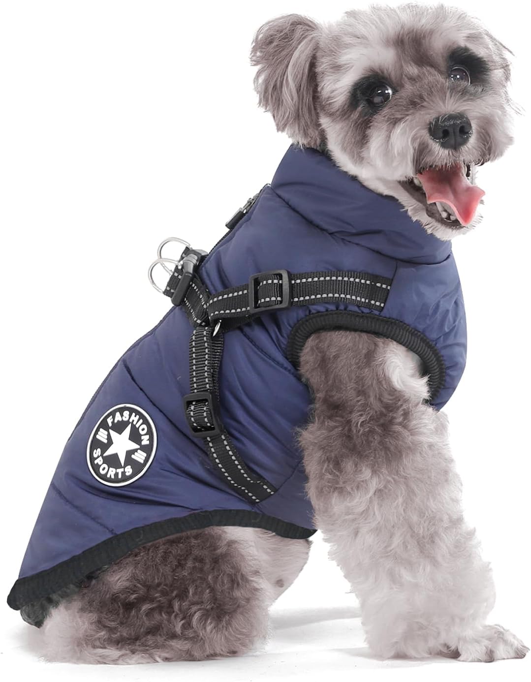 dog jackets with legs