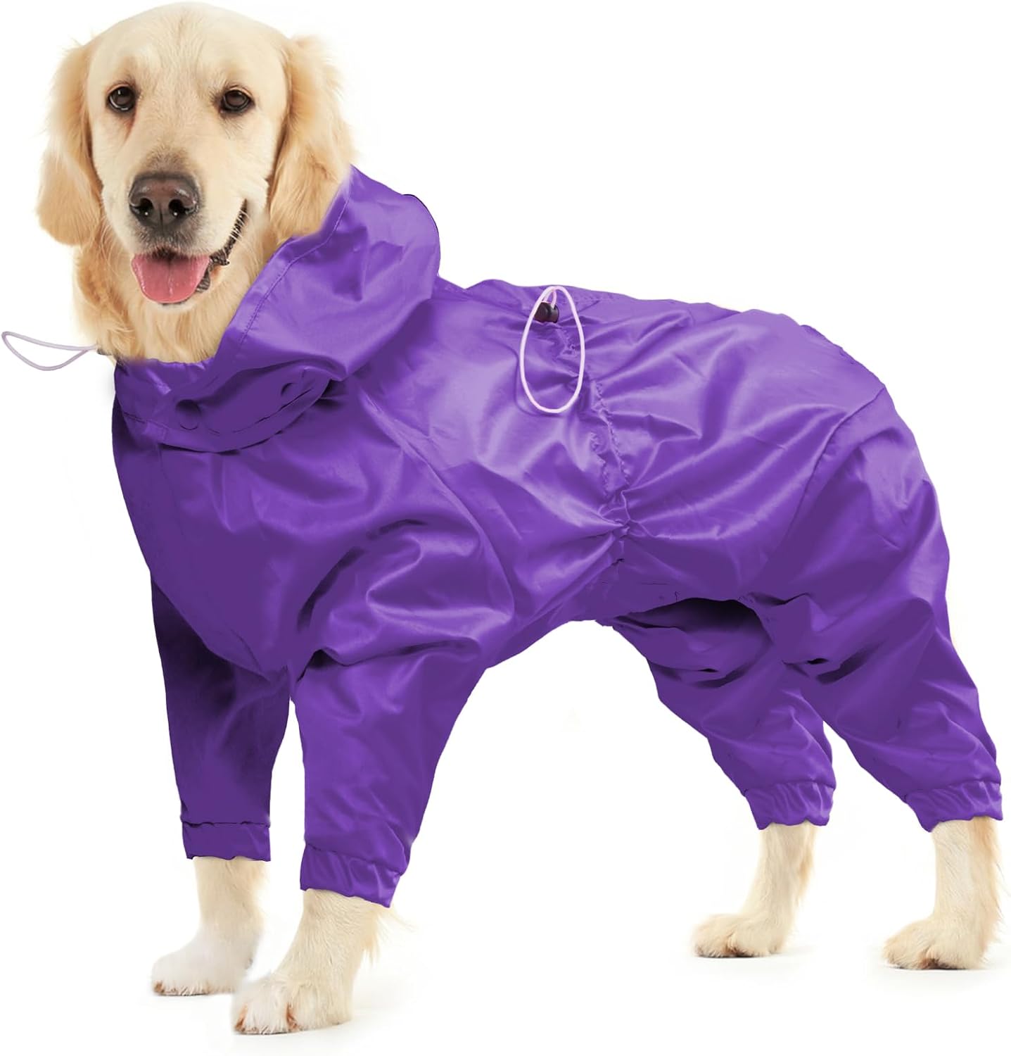 dog jackets with legs