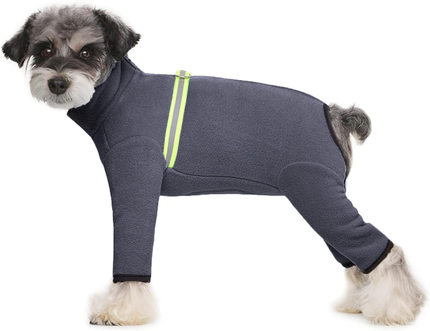 dog jackets with legs