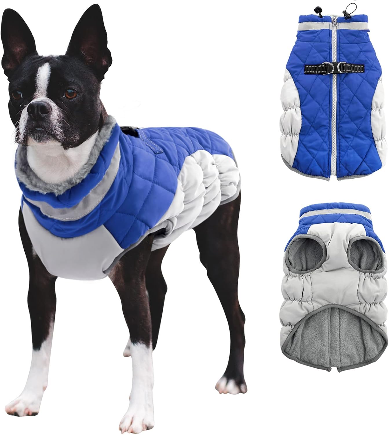 dog jackets for large dogs