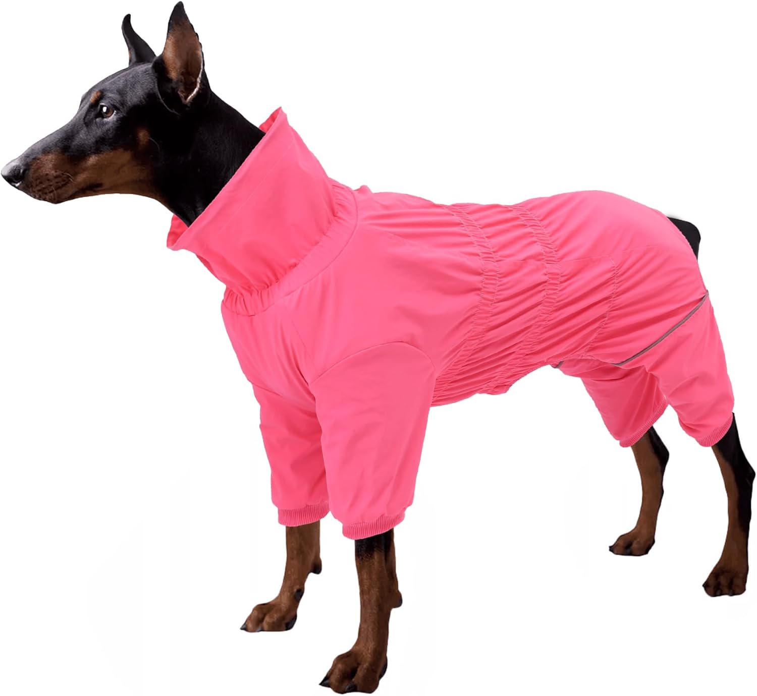 dog jackets with legs