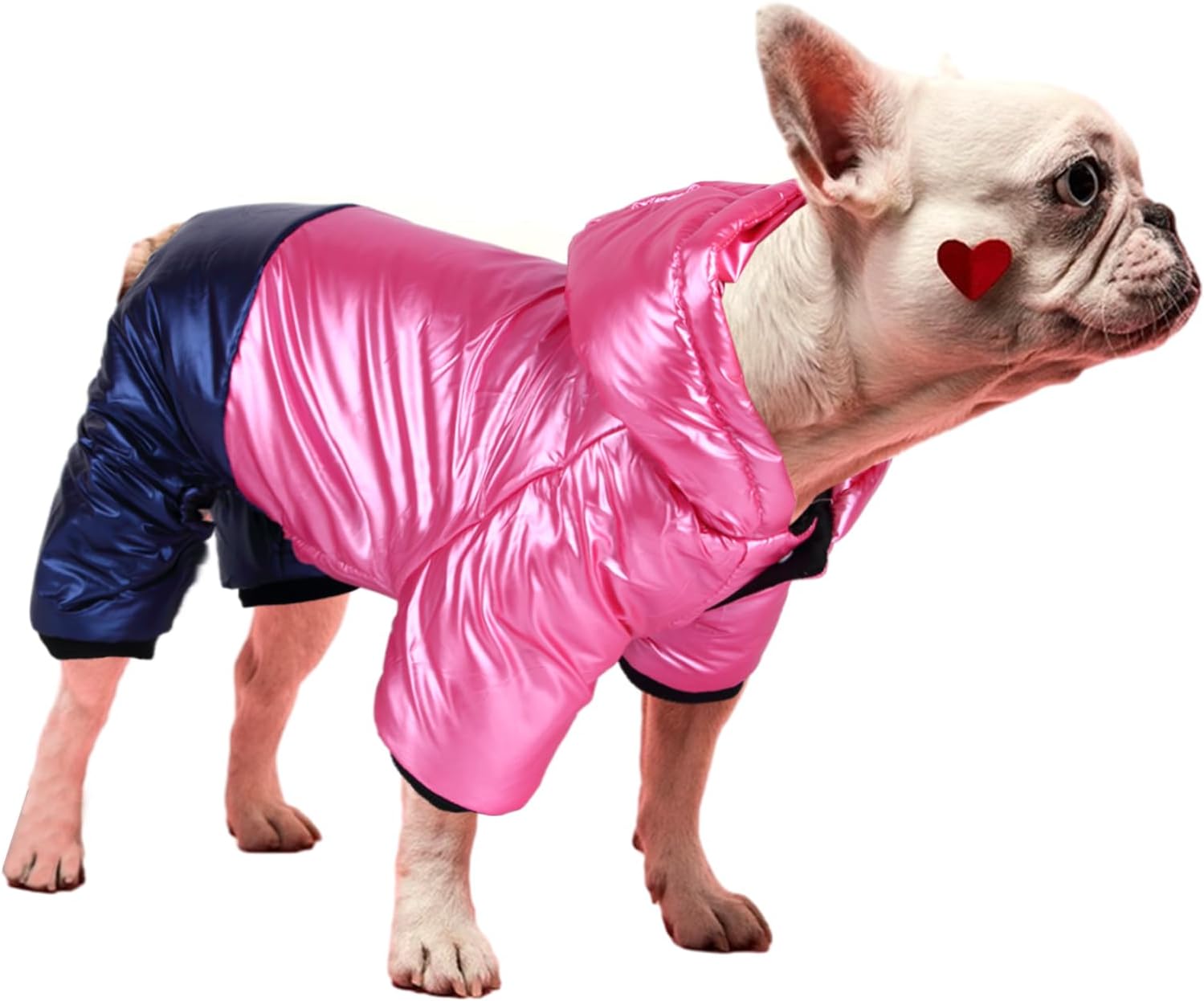 dog jackets with legs