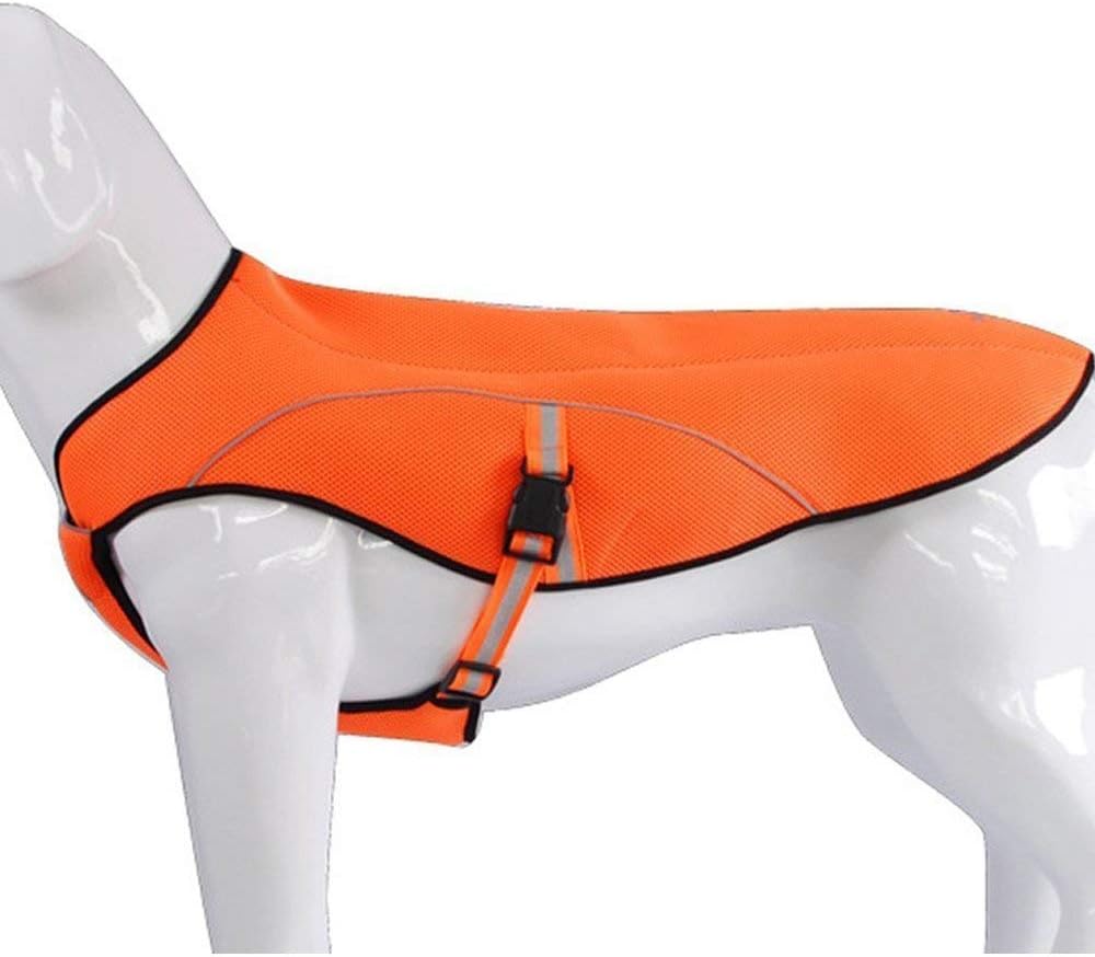 dog jackets for large dogs