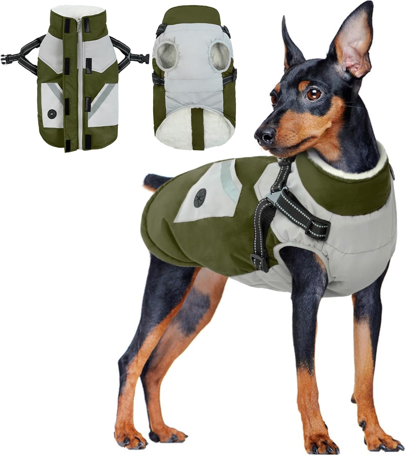 dog jackets with legs