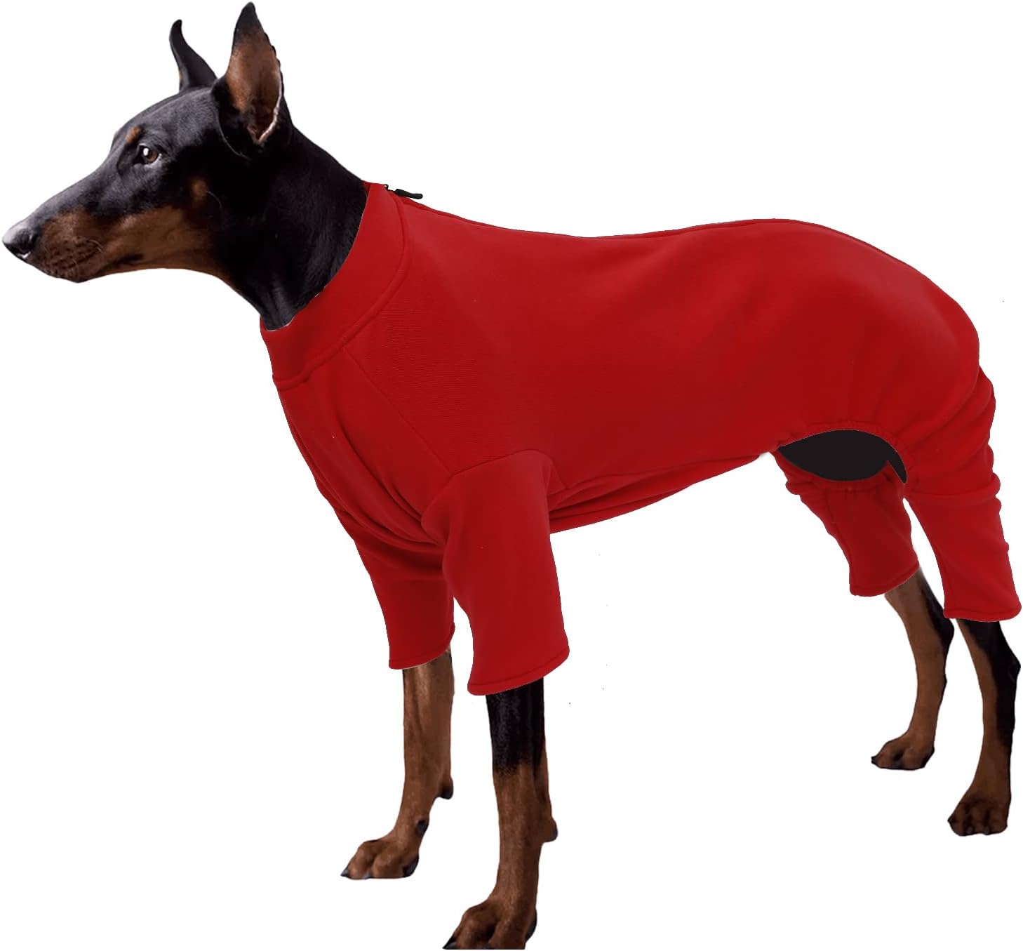 dog jackets with legs