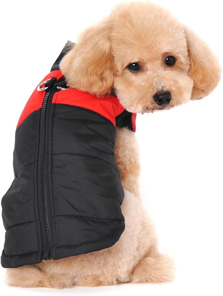 dog jackets with legs