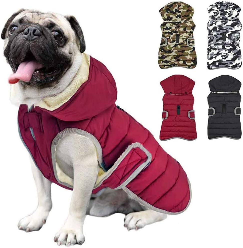 dog jackets with legs