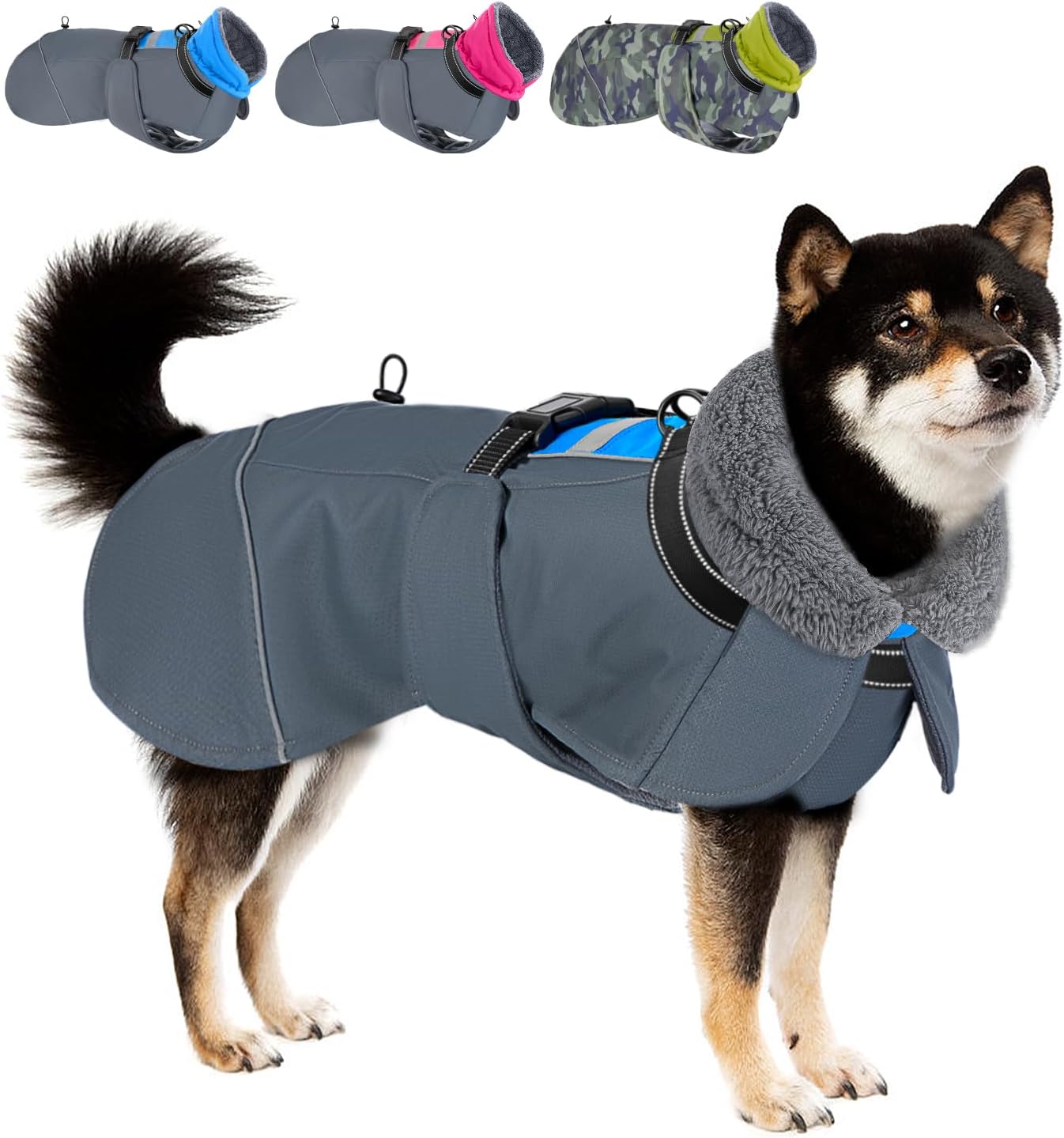 dog jackets with legs