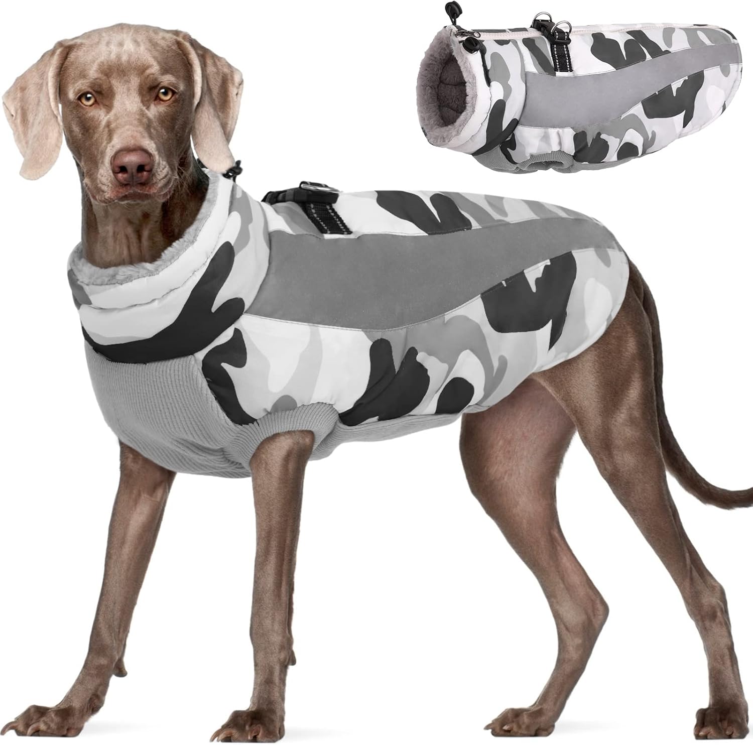 dog jackets for large dogs