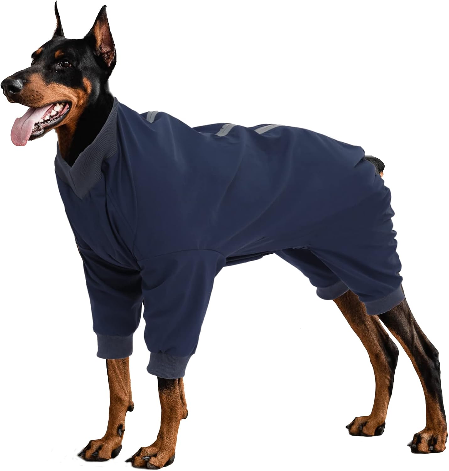 dog jackets with legs