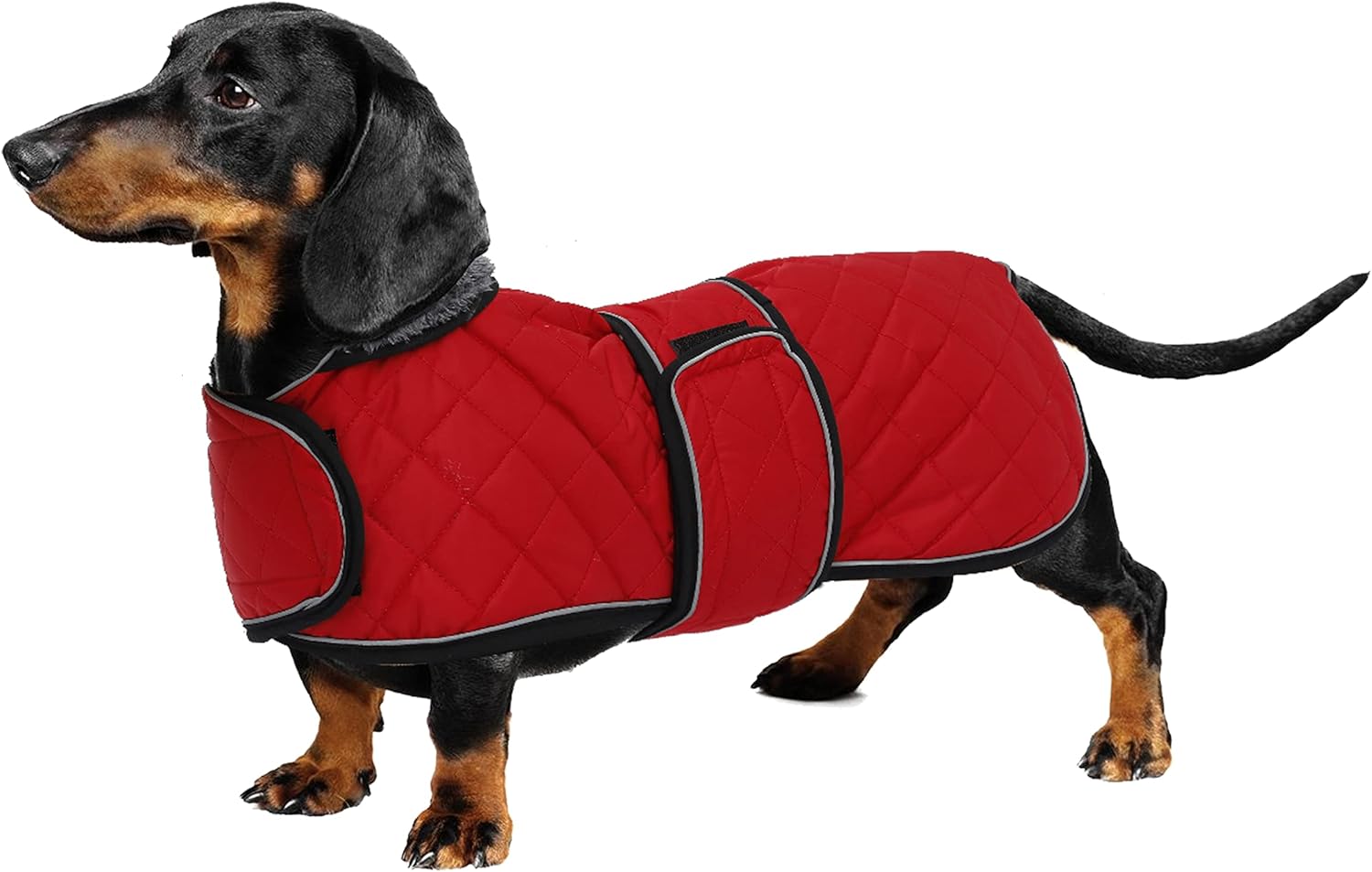 dog jackets for large dogs