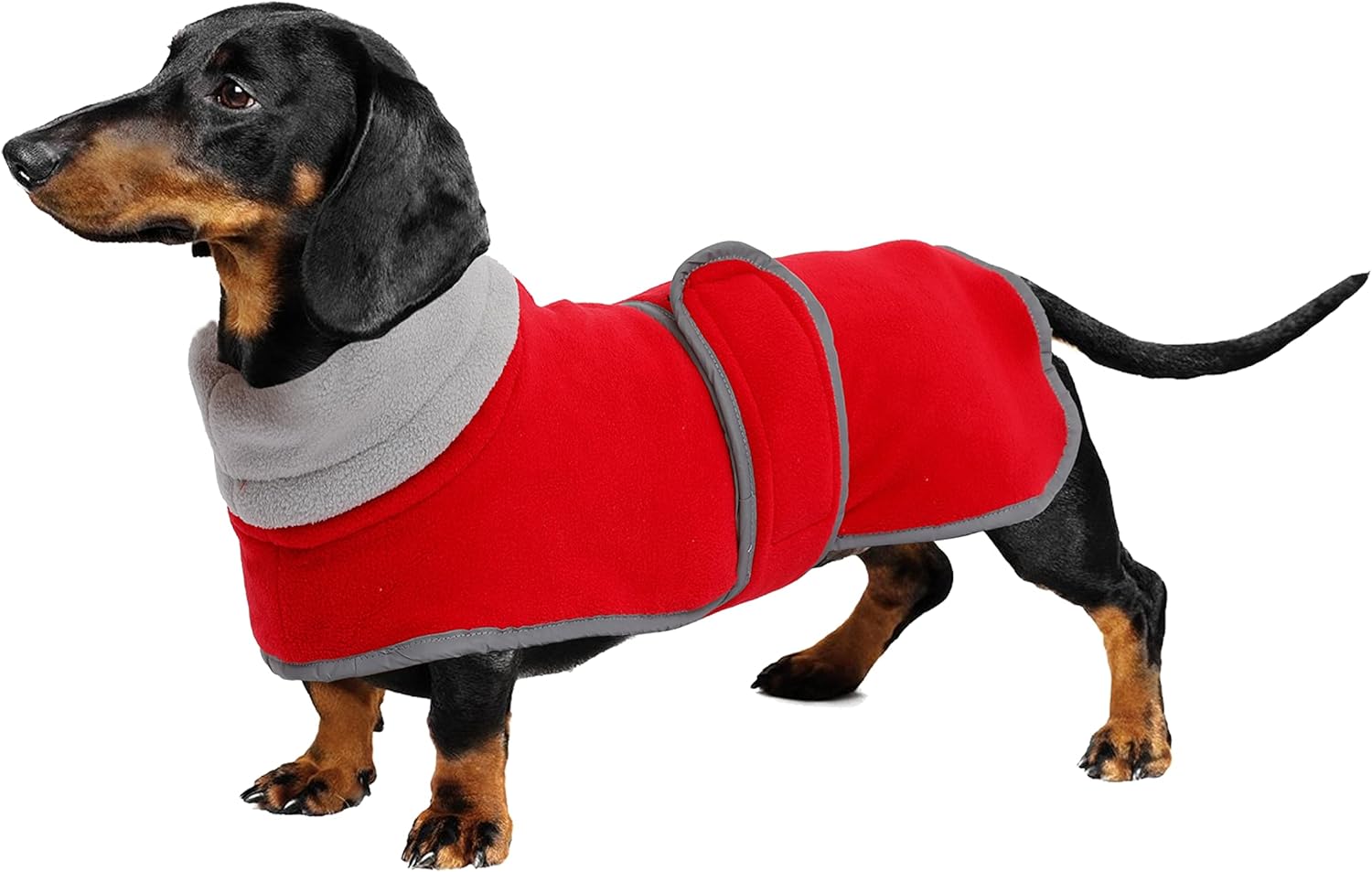 dog jackets with legs