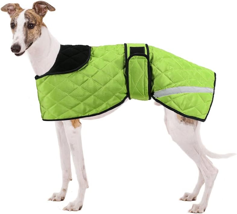 dog jackets for large dogs