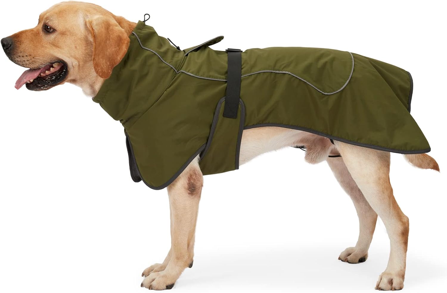 dog jackets with legs