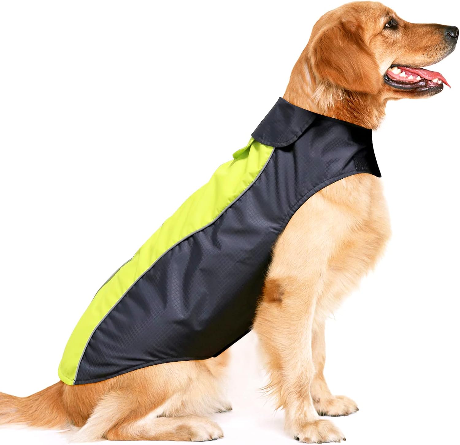 dog jackets for large dogs