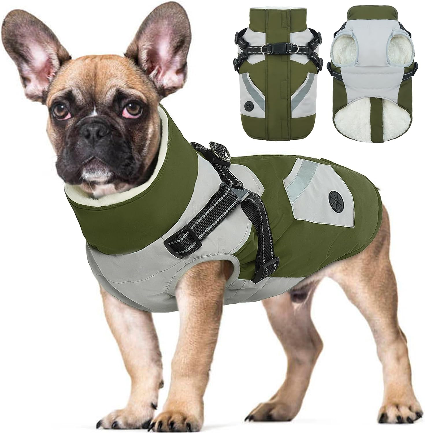 dog jackets for large dogs