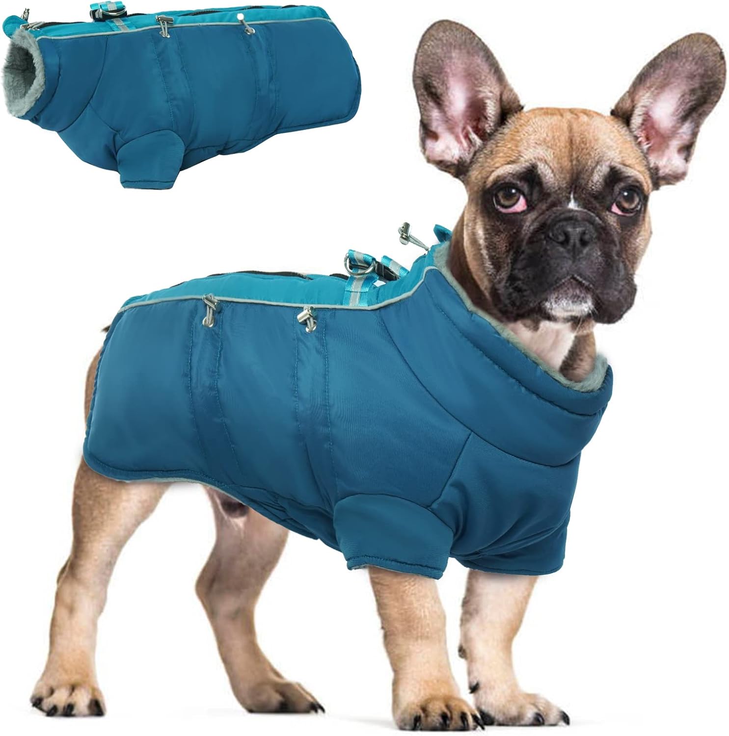 dog jackets for large dogs